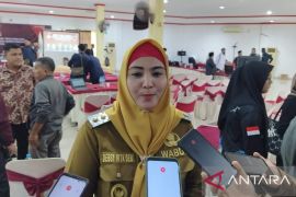 Wabup Debby sebut pilkada di Bangka Selatan berjalan aman dan kondusif