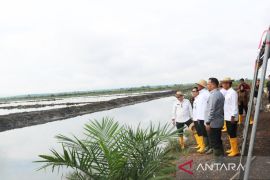 Inmates supporting food brigade, work on 100 hectares land in South Kalimantan