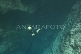 Destinasi wisata gua di Pulau Maratua