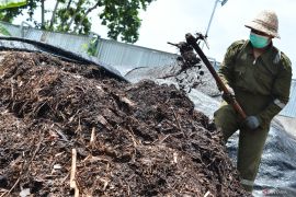 Panduan praktis membuat pupuk kompos dari sampah di rumah