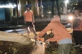 BPBD Pariaman tingkatkan kewaspadaan selama cuaca ekstrim