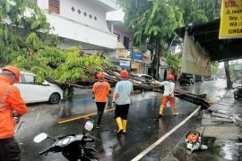 BPBD Buleleng hadirkan layanan informasi atasi bencana
