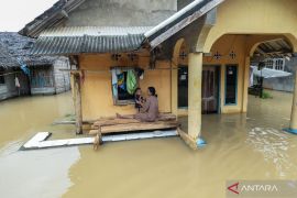 Sebanyak 430 rumah di Desa Idaman Pandeglang terisolir banjir