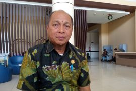 Dinas PUPR Mimika susun rencana pembangunan pengendalian pantai