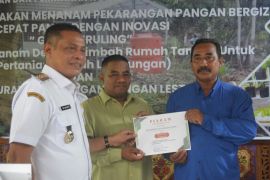 Gerakan menanam perkarangan bergizi cepat panen di Pontianak