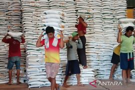 Perum Bulog Magelang serap 4.500 ton gabah petani hingga pertengahan Februari 2026