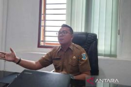 Diskopdag dan UMKM Pangkalpinang terus pantau stok dan harga jelang Nataru