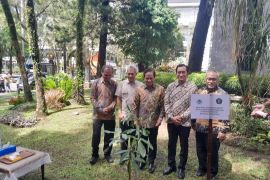 Kementerian LH gandeng UB optimalkan rehabilitasi lahan mangrove di lahan 600 ribu hektare