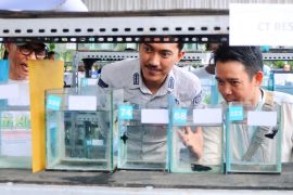 Pemkab Banjar bangkitkan bidang perikanan melalui lomba ikan hias