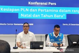 Pertamina pastikan diskon avtur turunkan harga tiket pesawat