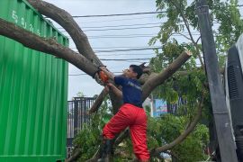 Truk kontainer tabrak pohon hingga tumbang akibatkan lalin tersendat di Tangerang