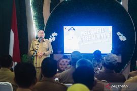 Muhidin tegaskan tak ada "kuning-biru" untuk bangun Kalsel