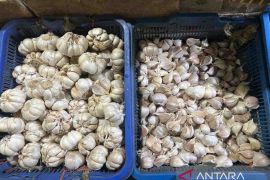 Harga bawang putih naik Rp5.410 menjadi Rp47.520 per kg