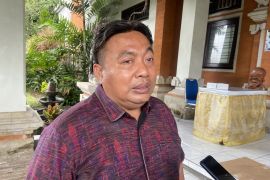 Anggota DPR usul batas operasional kendaraan luar Bali dan ubah pelat