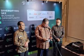 Menko Airlangga bakal ajukan BRI dan BSI sebaga bank emas