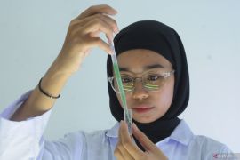 Indonesia taps spirulina to raise livestock productivity