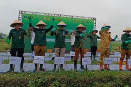 Program sekolah lapang di Serang panen 13,5 ton bawang merah