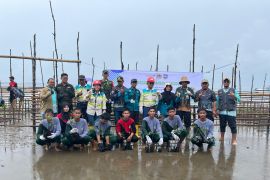 IBT, SMKN Pulau Laut Barat plant 1,000 mangrove on Tamiyang beach