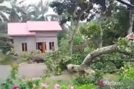 Pemkab Mukomuko kurangi risiko bencana melalui sosialisasi mitigasi