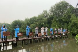 BRGM ajak delegasi Hakim Lingkungan Tiongkok tinjau ekosistem mangrove
