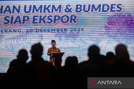 Pelatihan UMKM dan BUMDes siap ekspor