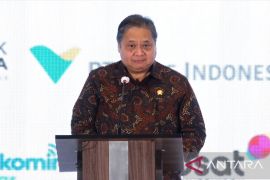 Airlangga menilai PLN jadi tonggak keberhasilan energi terbarukan RI