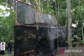 BBKSDA-YKPB gagalkan penyelundupan 148 burung endemik