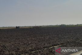 Pemkot Serang tambah lahan untuk produksi hortikultura