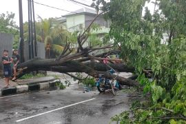 Dishub Mataram melakukan patroli selama cuaca ekstrem antisipasi gangguan PJU