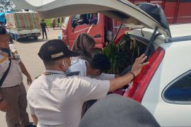 BKHIT Sumsel gelar edukasi patuh karantina lalulintaskan hewan peliharaan