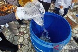 Dokter: alkohol bisa percepat kerusakan organ hati