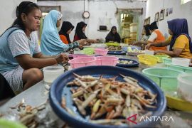 Peningkatan kualitas produksi perikanan nasional