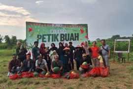 Agroforestri Itera gelar wisata petik buah