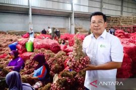 Harga pangan fluktuatif, bawang merah jadi Rp40.560 per kg