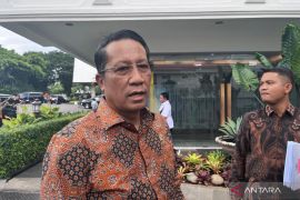 Indirect regional head elections worth considering: Law Minister