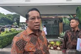 Indirect regional head elections worth considering: Law Minister