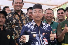 Tapin kembangkan kopi lokal Hatungun guna tembus pasar internasional