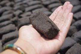 PLN NTB dorong pemanfaatan biomassa untuk capai target nett zero emission 2060