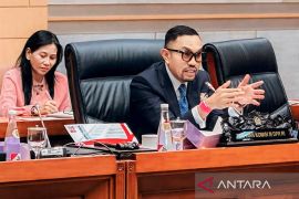 DPR minta Polri bongkar sindikat perdagangan bayi ke Singapura