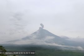 Gunung Semeru kembali erupsi dengan letusan setinggi 900 meter