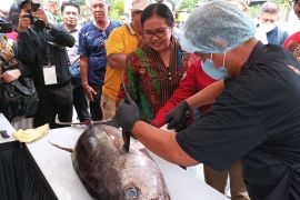 Nelayan OAP suplai ikan tuna menu makan bergizi 2.000 anak sekolah