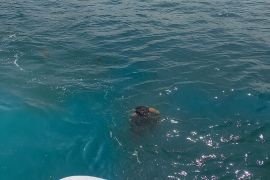 Tim SAR temukan jenazah pemancing terseret pasangnya air laut di Batam