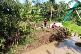 BPBD Cilacap tangani tanggul Sungai Jakadenda yang jebol di Bulaksari