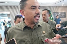 Menteri UMKM rencana buat holding UMKM