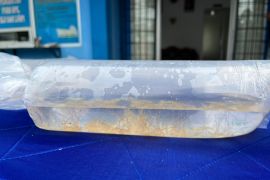 Polres Pesibar komitmen berantas penyelundupan BBL  ilegal