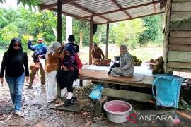 Lagi tren, sensasi menikmati durian langsung di kebun
