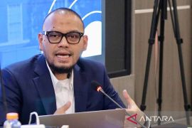 Pengamat: Danantara dalam bayang-bayang skandal BLBI