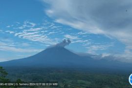 Gunung Semeru beberapa kali erupsi dengan tinggi letusan hingga 1 km