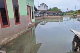 HNSI Babel ingatkan masyarakat pesisir untuk  waspadai banjir rob