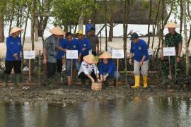 Gubernur tanam pohon mangrove yang diberkati Paus Fransiskus di Sumut